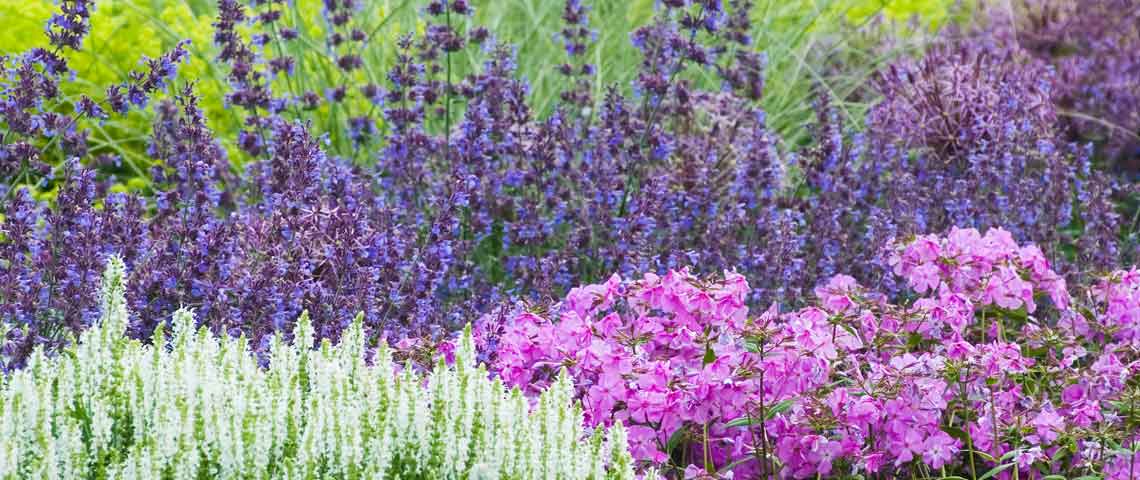 Fertilizer Labels: What N-P-K Numbers Mean