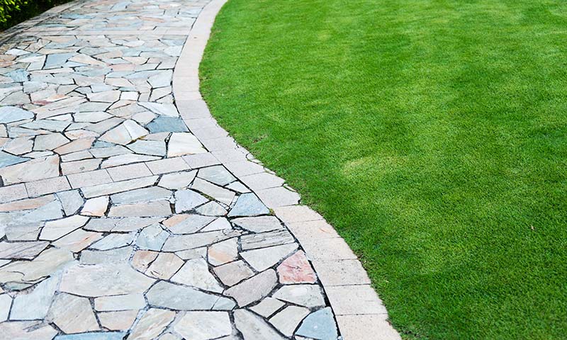 green-grass
