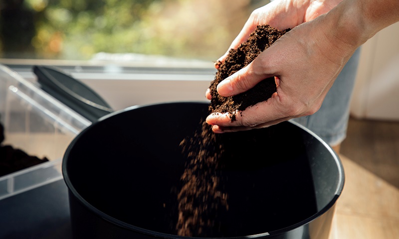 choose the best soil for growing food in pots