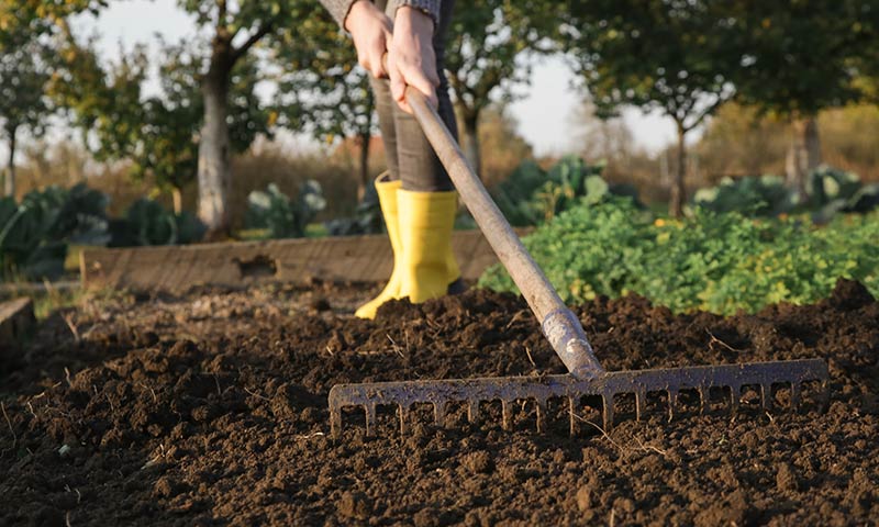 Preparing Your Garden Soil