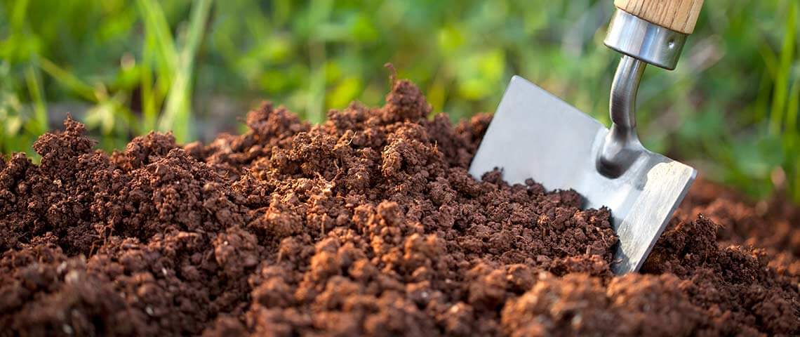 What is Fish Fertilizer?