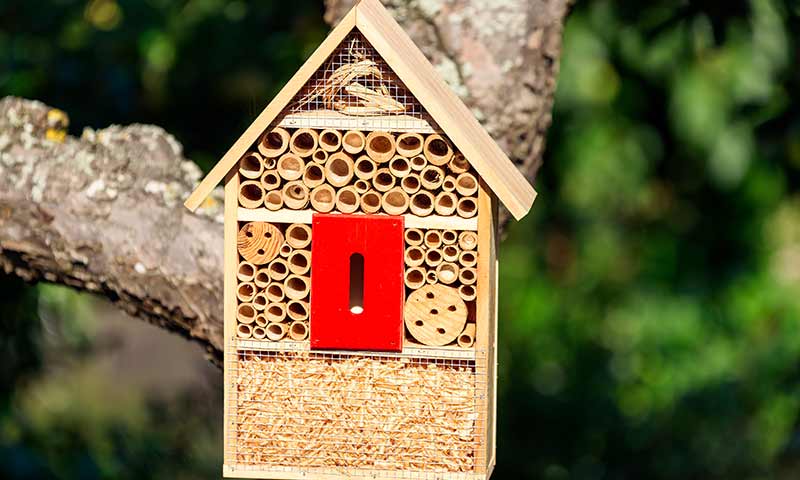 bee-hotel