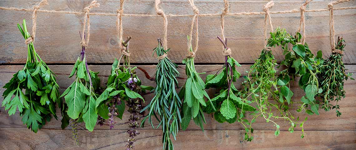hanging-herbs-h