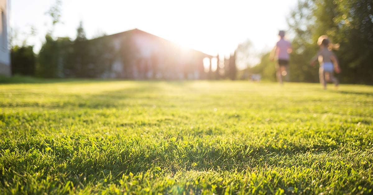 3 Quick Lawn Fixes You Can Do in a Weekend