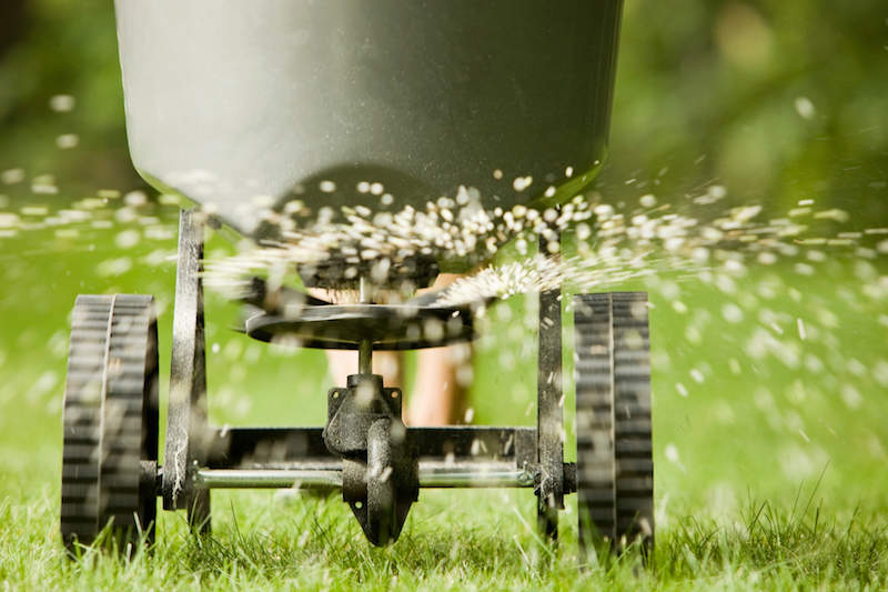 Grass seed spreader