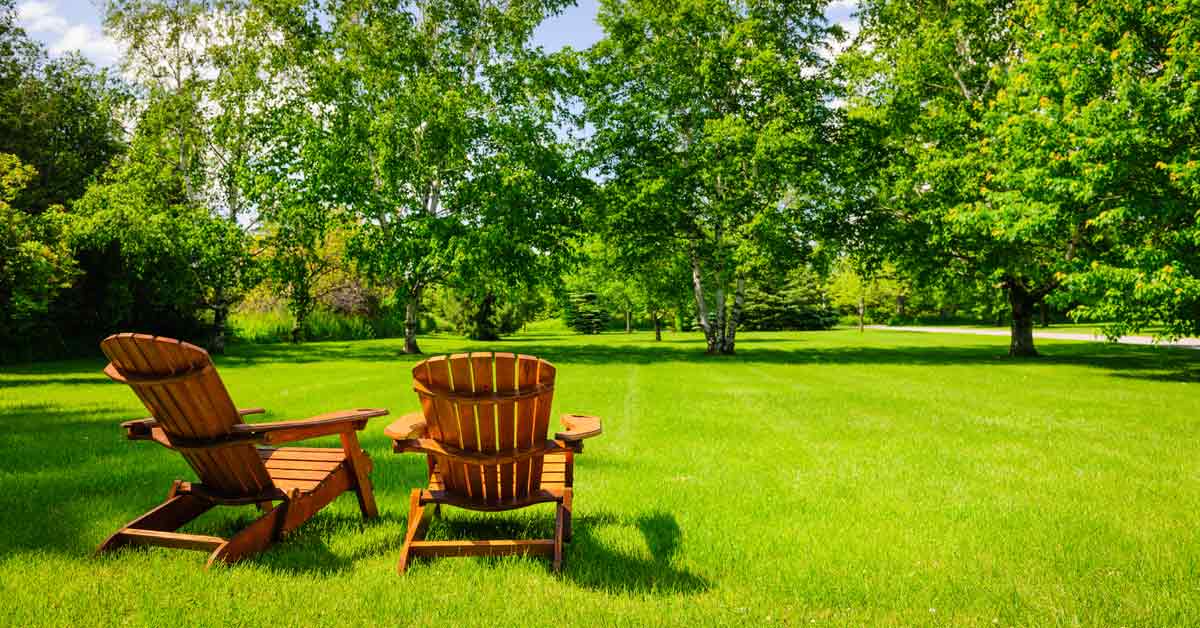 Easy Lawn Maintenance Schedule