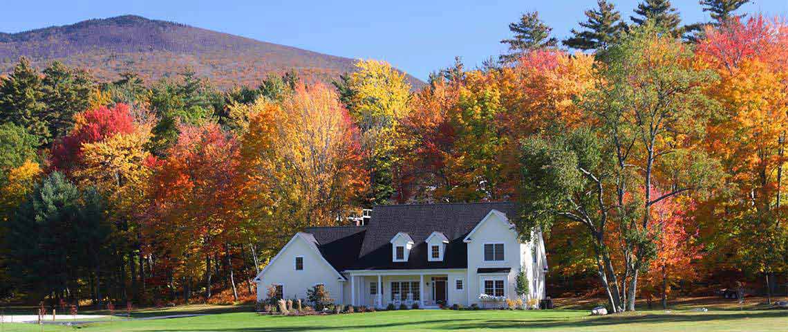 All You Need to Know About Northeast Mix