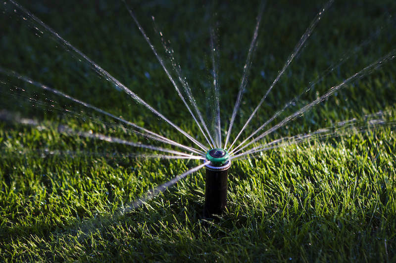 Closeup of water sprinkler on lawn.