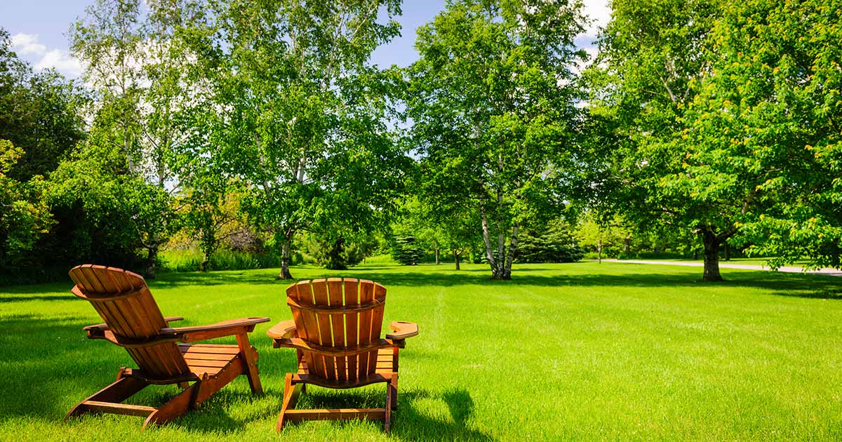 Two lawn chairs on a sunny lawn.