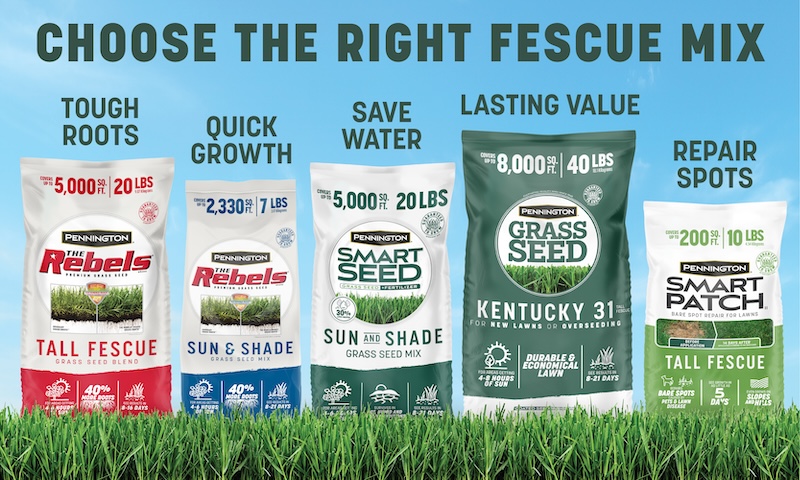 choose the right fescue mix