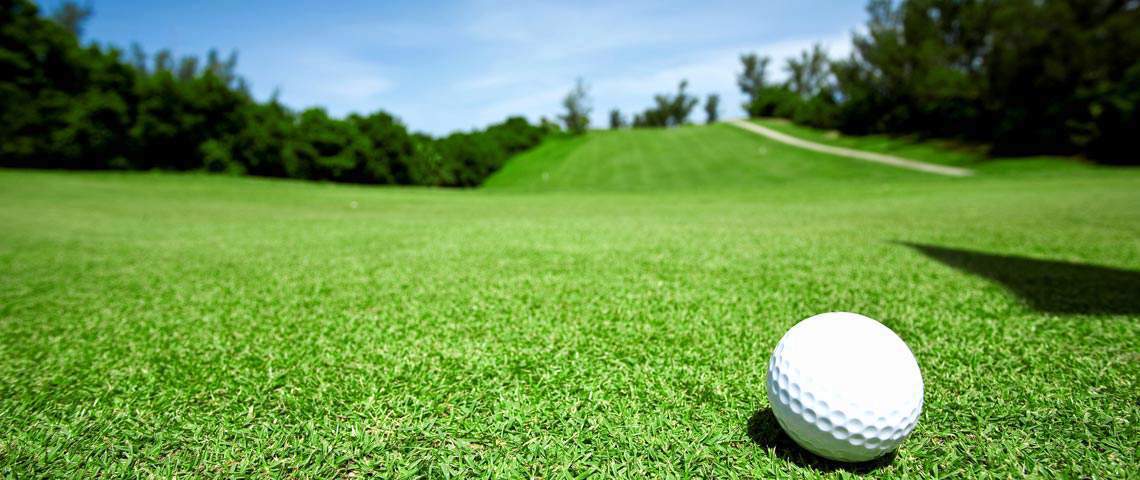 Bermuda Grass on golf course