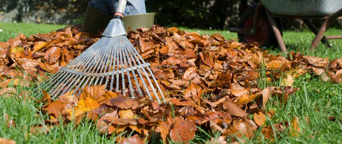 Checklist for Fall Lawns