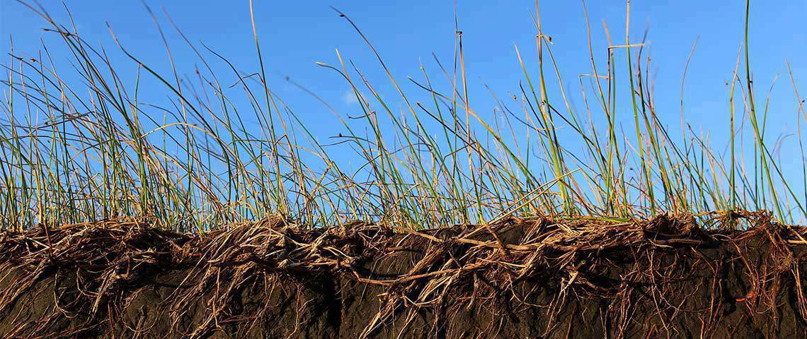 Erosion Control: How to Keep Your Seed and Soil