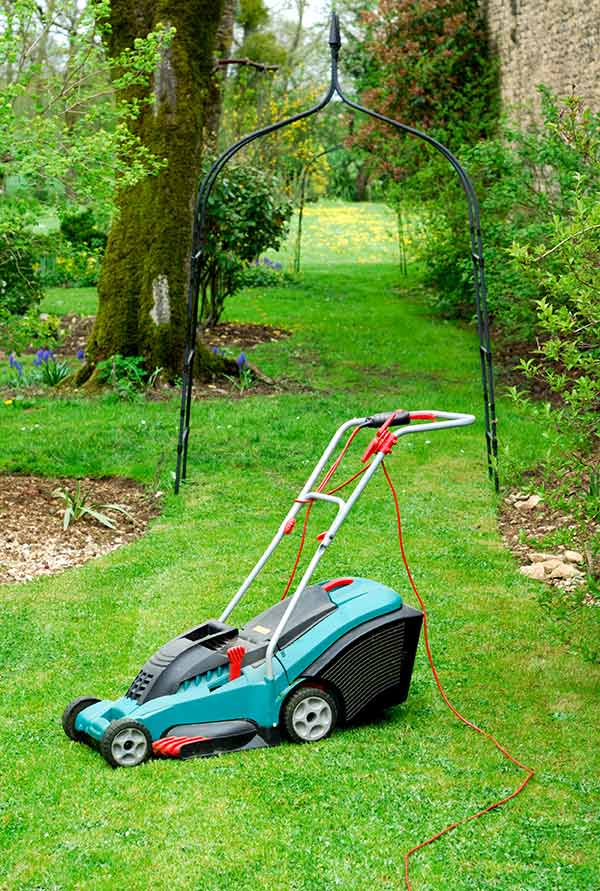 How to Choose the Best Mower, Trimmer and Edger for Your Yard