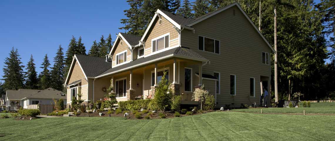 Fixing Common Lawn Problems