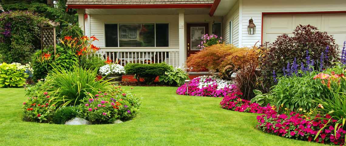How to Plant Grass Seed