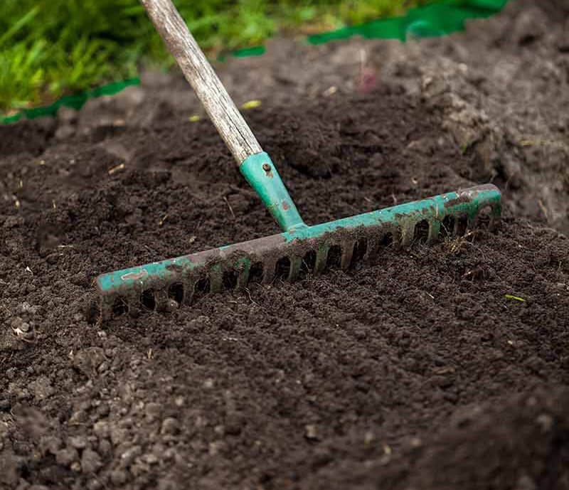 How to Plant Grass Seed