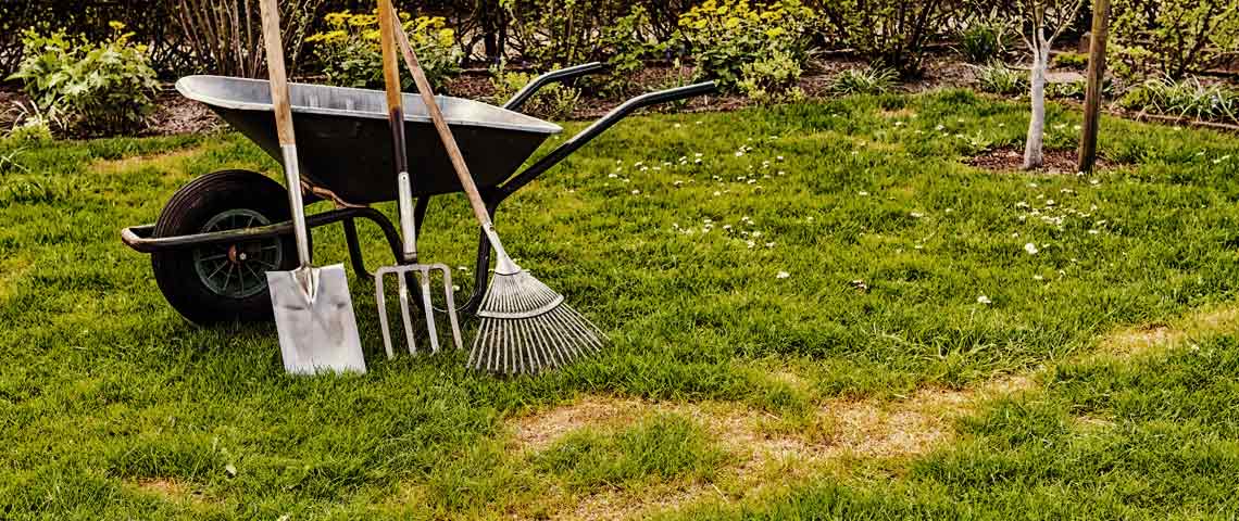 Bare-Spots-Infographic-Header