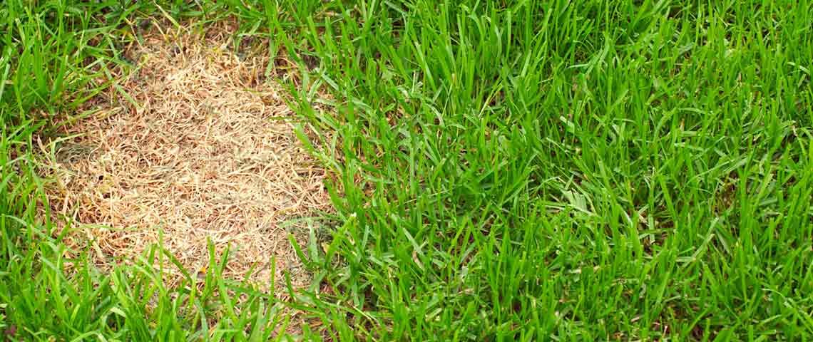 Repairing Bare Spots