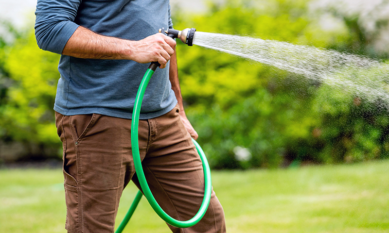 watering new grass seed