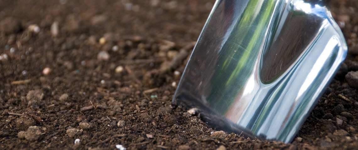 Taking Soil Samples