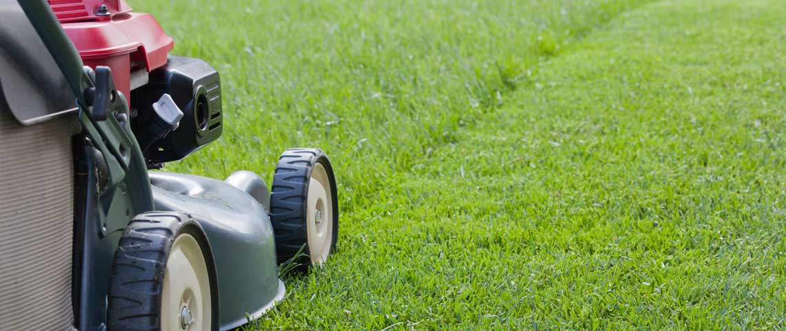 Lawn Mowing 101