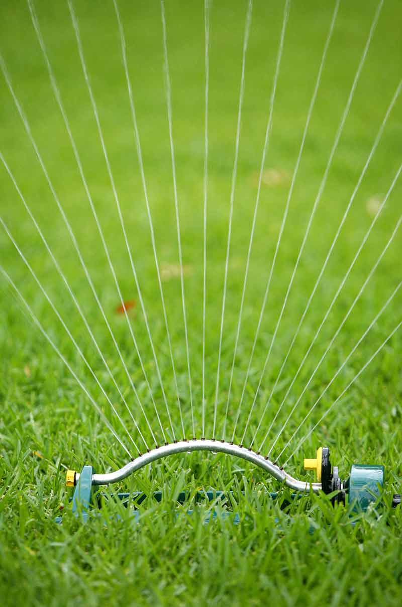 Water Your Lawn Effectively Water Your Lawn Effectively