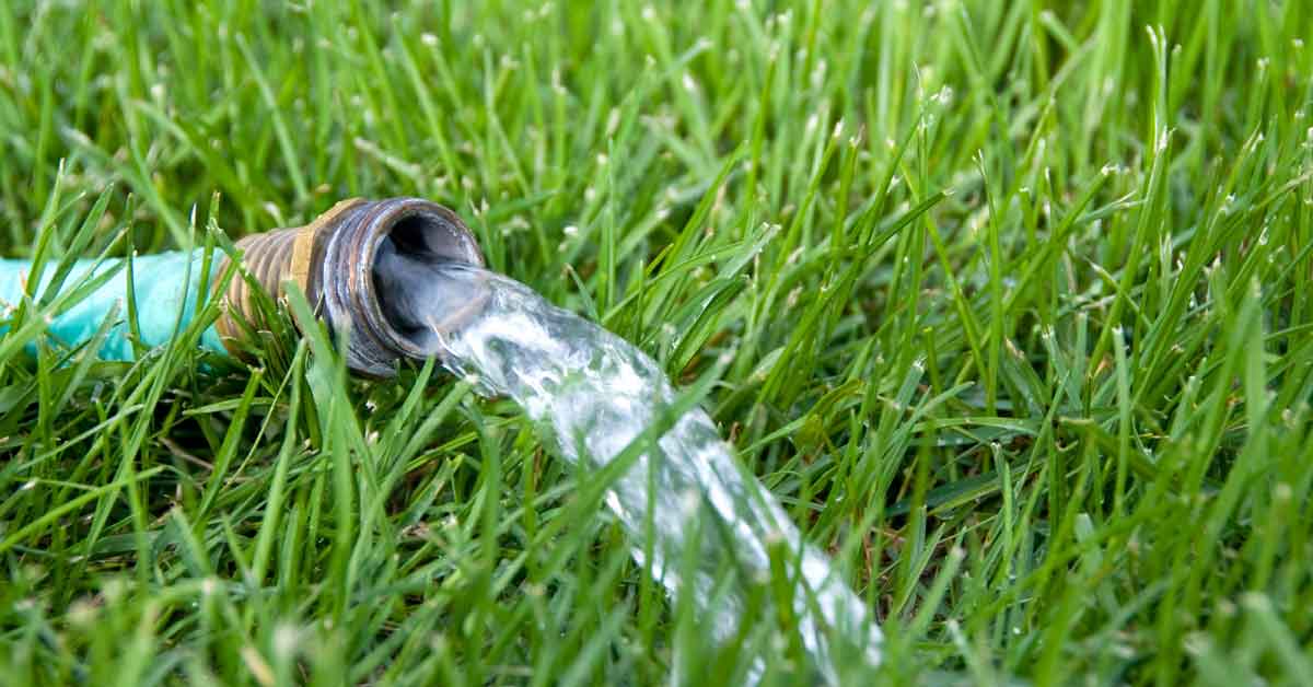 How to Determine the Watering Needs of Your Bermuda Grass
