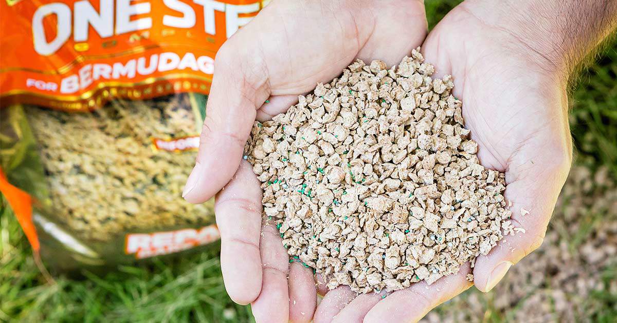 Quick, Simple Lawn Repair with One Step Complete