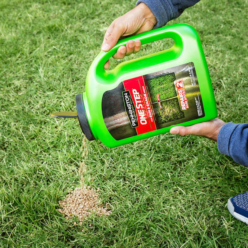 Repairing clearance a lawn