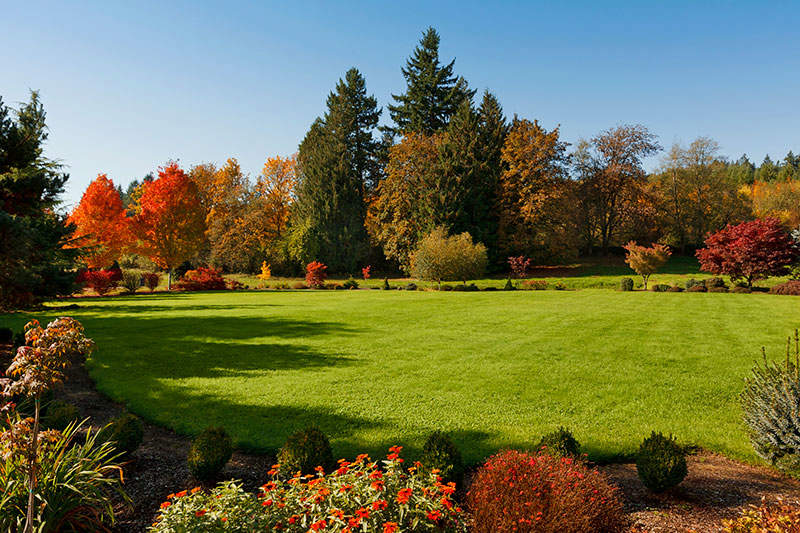 Plant grass in fall store