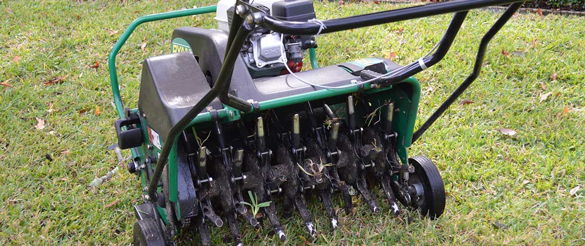 Lawn aerator for a thicker lawn