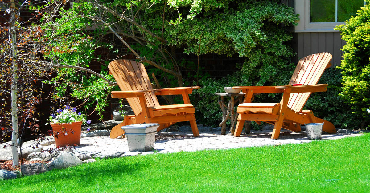 Lawn Care Tips For Beginners