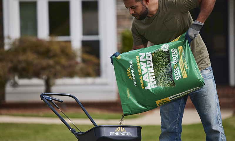 applying lawn fertilizer with a broadcast spreader