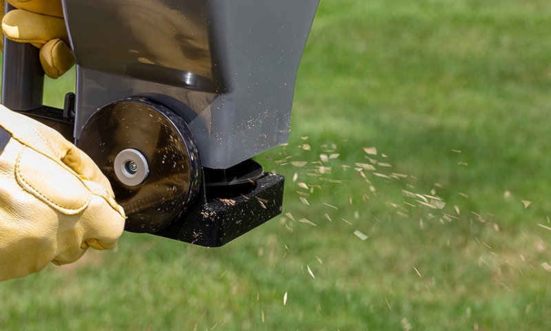 how do i plant no mow meadow grass