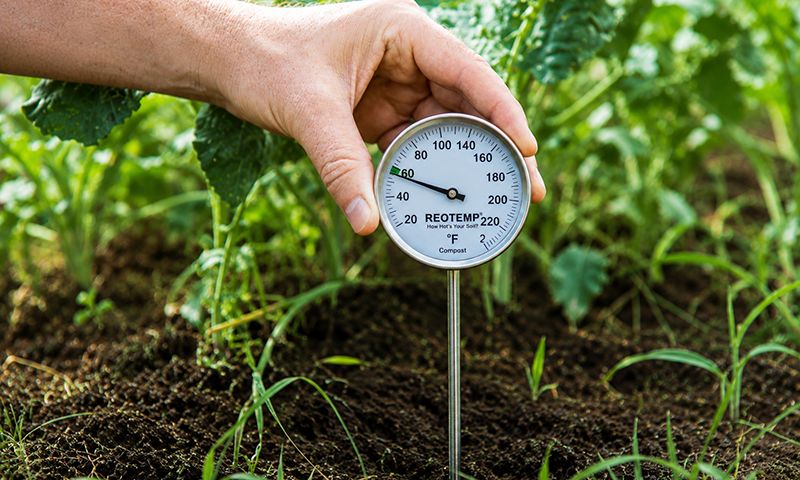 testing soil temperature