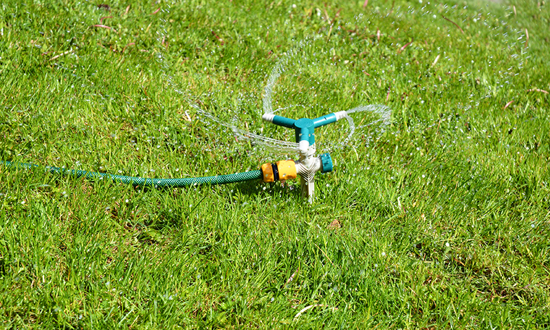 watering lawn after overseeding