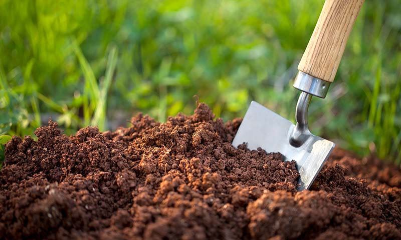 How to Prepare Soil for Grass Seed