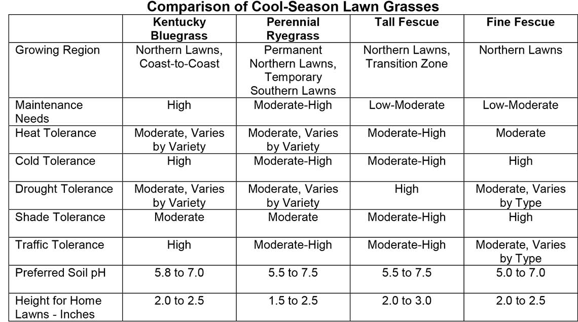 Cool season grasses discount