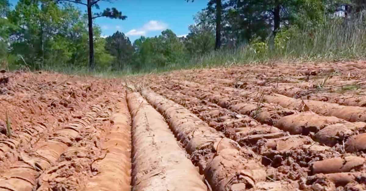 creating-a-firm-seed-bed-for-your-food-plots