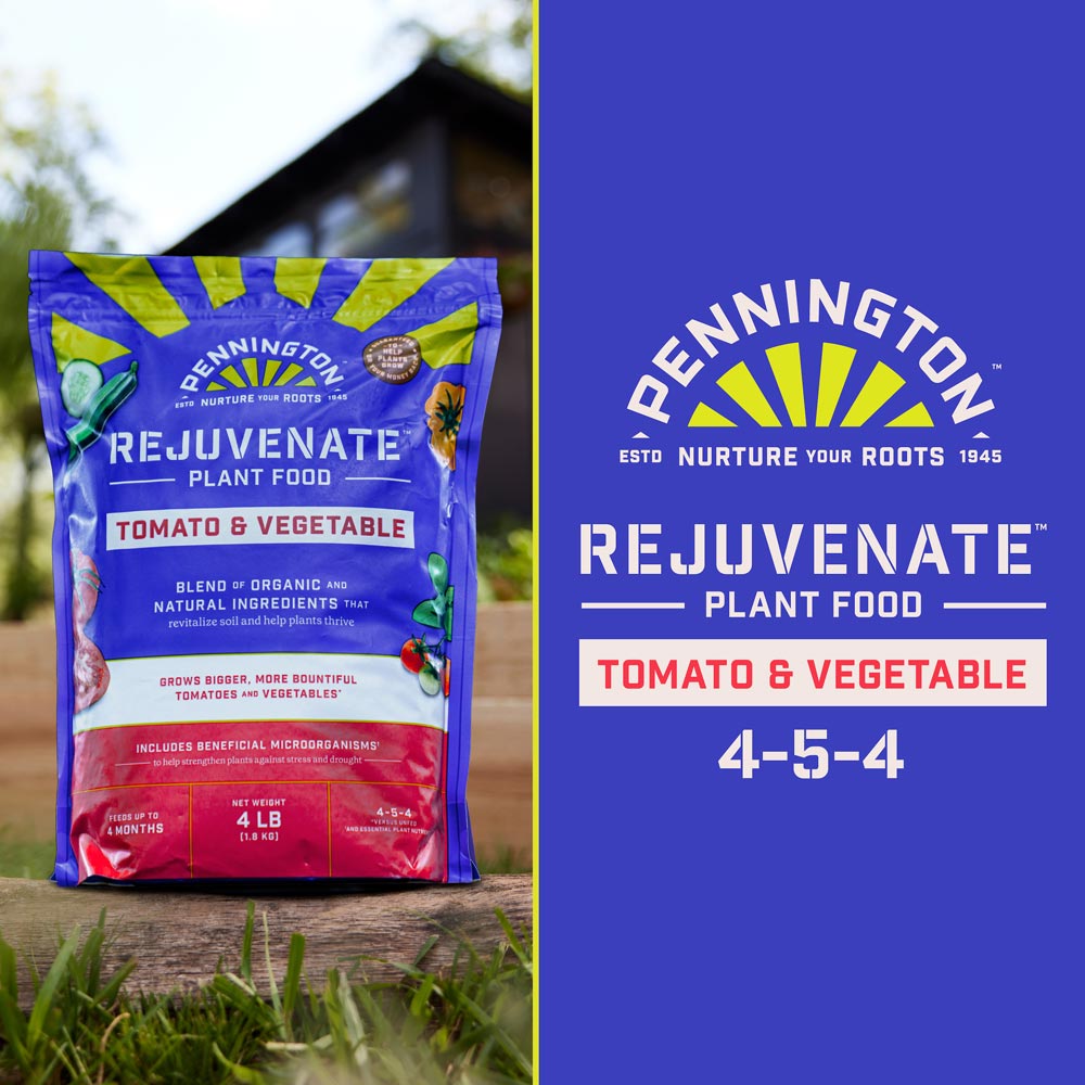 DG371-PE-Rejuvenate-Plant-Food-Tomato-Vegetable-4-5-4-Alt-Images-13