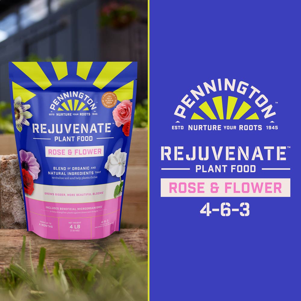 DG370-PE-Rejuvenate-Plant-Food-Rose-Flower-4-6-3-Alt-Images-13