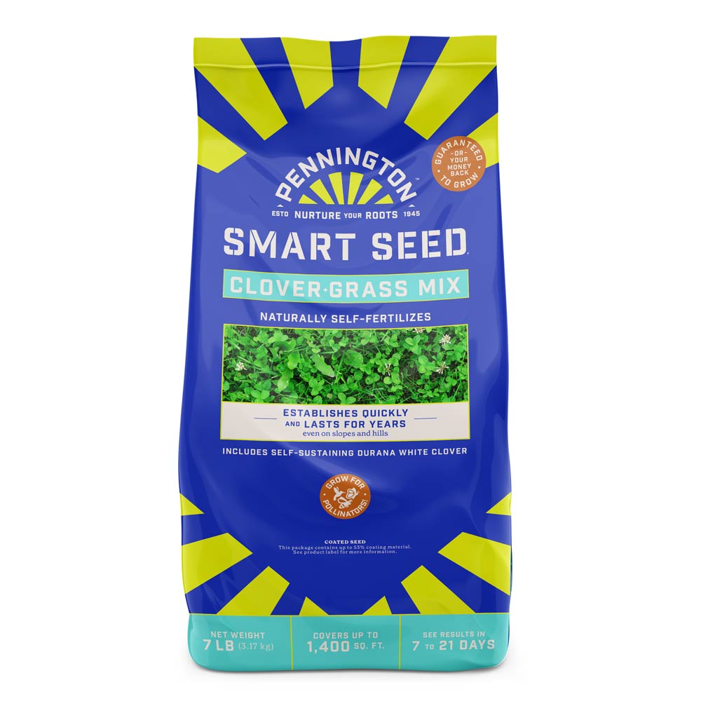 thumbnail image 2 of Flowering Roadside Grass Seed Mix - Low Maintenance Blend With Grass, Clover & Wildflowers (300 Gram) 2 of 12