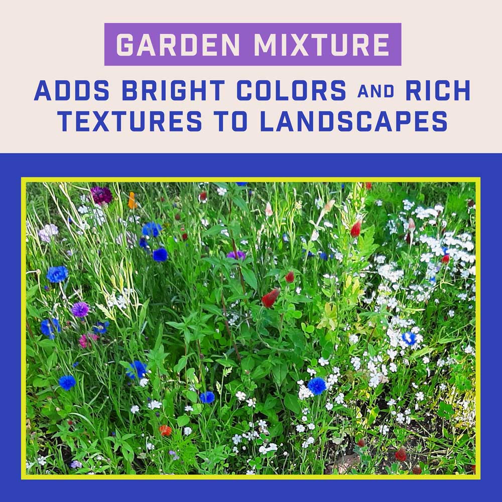 DG399-PE-Wildflower-Garden-Mix-Alt-Images-04
