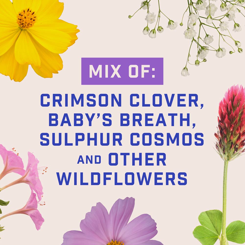 DG399-PE-Wildflower-Garden-Mix-Alt-Images-05