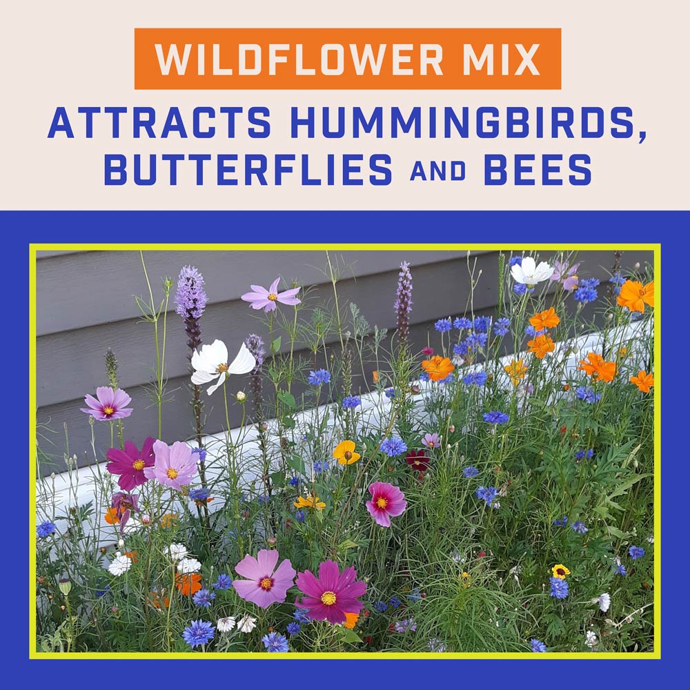 DG360-PE-Wildflower-Hummingbird-Butterfly-Mix-Alt-Images-04