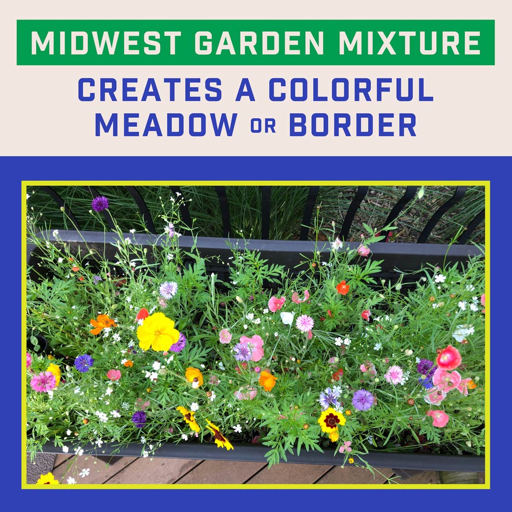 DG383-PE-Wildflower-Midwest-Garden-Mix-Alt-Images-04