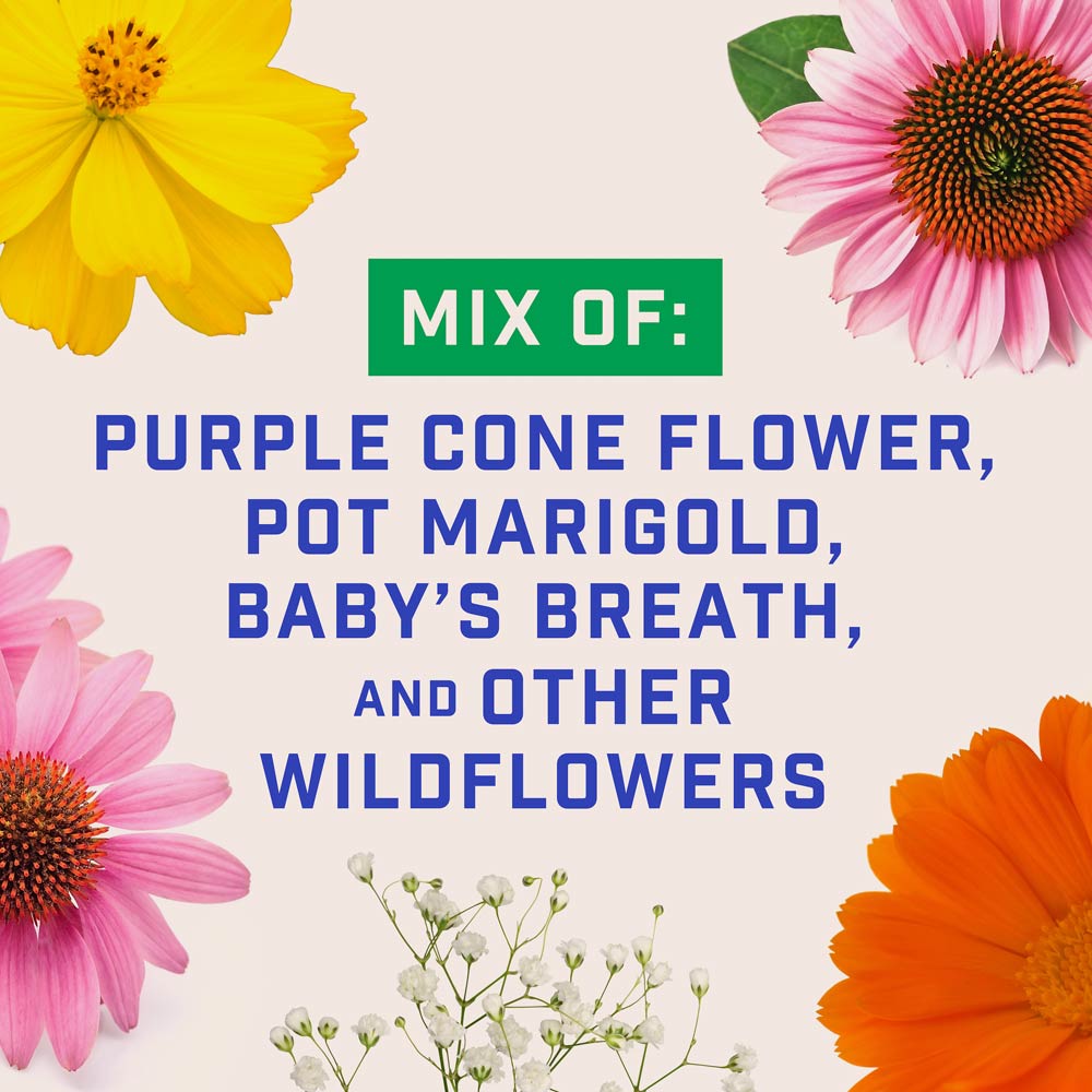 DG383-PE-Wildflower-Midwest-Garden-Mix-Alt-Images-05