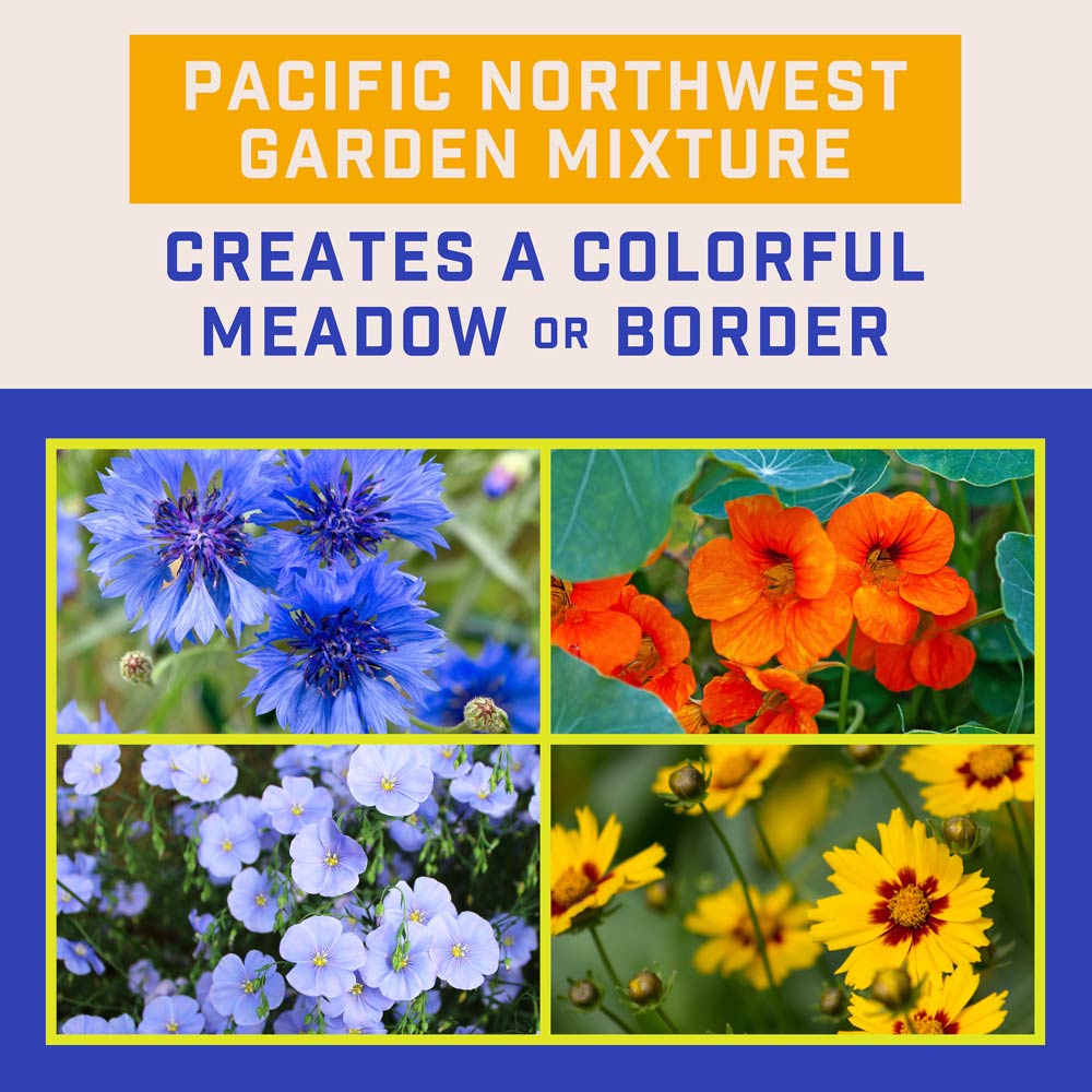 DG385-PE-Wildflower-Pacific-Northwest-Mix-Alt-Images-04
