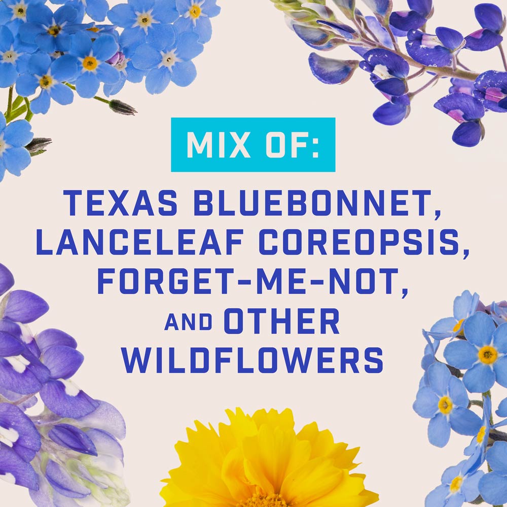 DG382-PE-Wildflower-Texas-Garden-Mix-Alt-Images-05